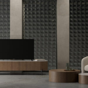 Torus Tv